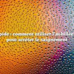 Réponse rapide : comment utiliser l’achillée millefeuille pour arrêter le saignement